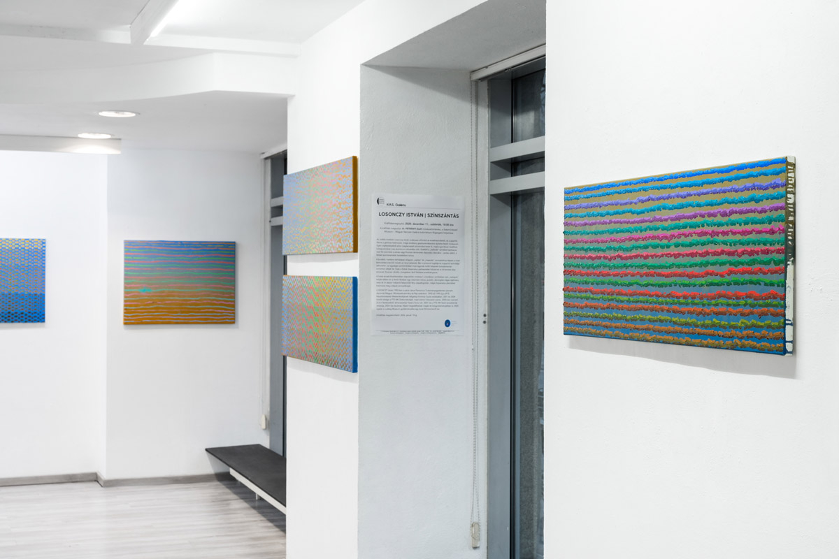 LOSONCZY Istvan Szinszantas KAS Galeria Enterior Foto Hegyhati Reka 5