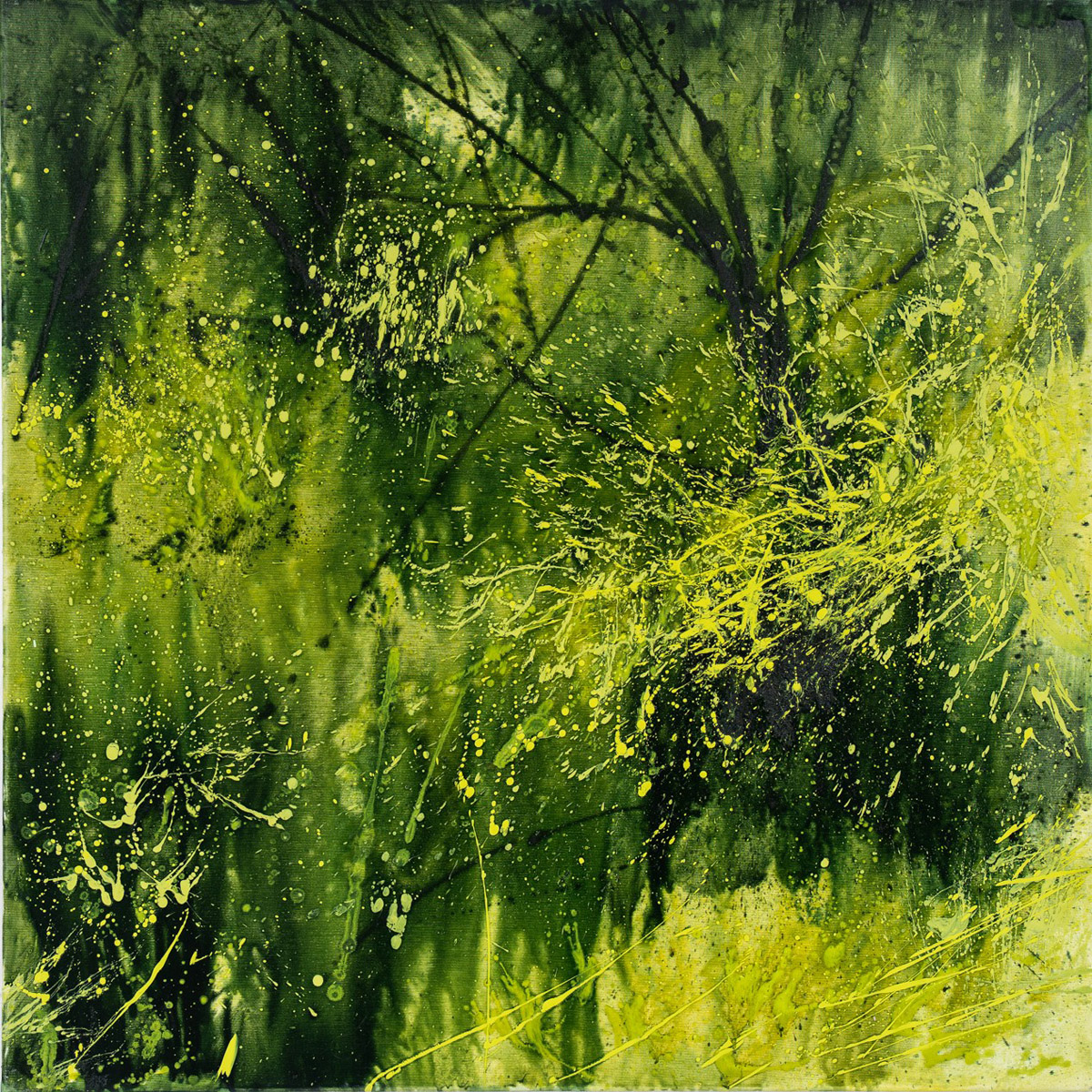Knyihar Amarilla Pap  Sziget II 2025 Olajvaszon 80X80cm 4vagva